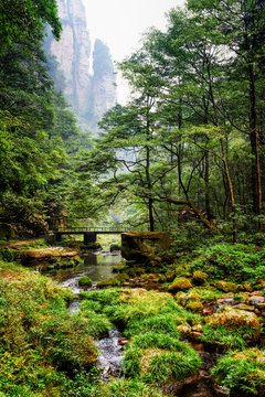 Scenic view of river and bridge among green woods