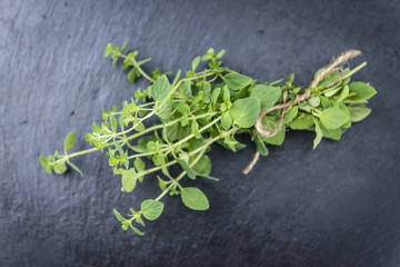 Portion of fresh Oregano