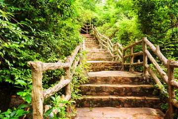 Stone stairs among green foliage leading across beautiful woods