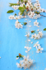 Flowers of cherry on a  wooden background