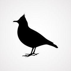 Obraz premium bird icon