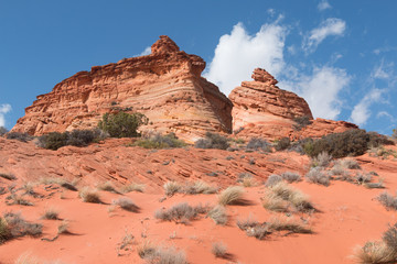 Fototapeta na wymiar Sandstone buttes, South Coyoite Buttes, USA