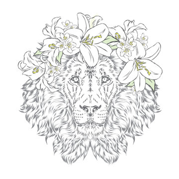 Lion in a wreath of flowers. Vector illustration. Print for clothes, posters or postcards.