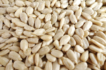 サンフラワーシード