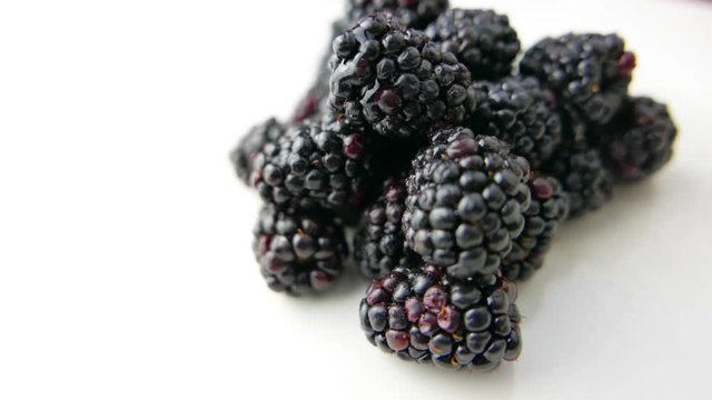 Blackberry Fruit Rotating on White