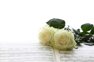 music notes and white roses