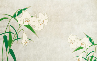 和風背景素材百合 © mtaira