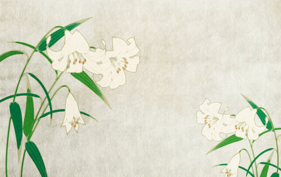 和風背景素材百合