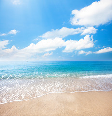 beach and tropical sea