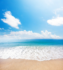 beach and tropical sea