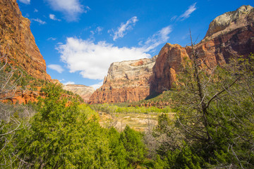 Zion National Park Canyon