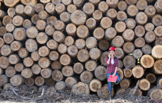 Woman Forestry Engineer Beside Trunks