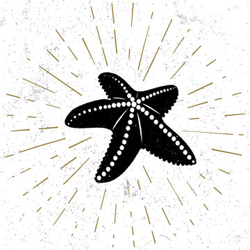 recommend clip art: Hand drawn textured vintage icon with starfish , vector illustration.