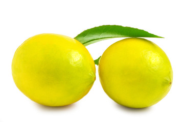 Two lemons on a white background
