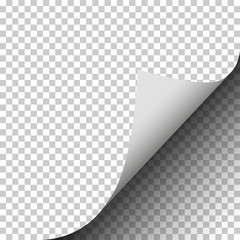 Page curl of a blank sheet of paper on transparent background