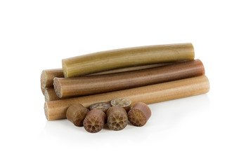 Lotus stems on white background