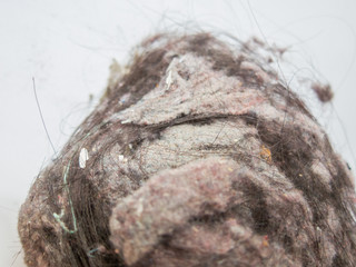 A clump of common house dust from the vacuum cleaner on gray background