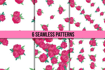 Seamless pattern set with pink peonies