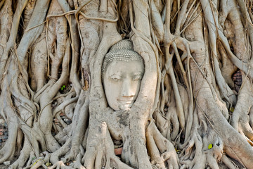 Head of Buddha statue in the tree roots at Wat Mahathat temple, Ayutthaya, Thailand