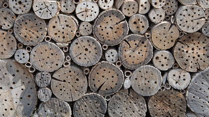 Obraz premium Insektenhaus, Insects, Insektenhotel, Winterschutz