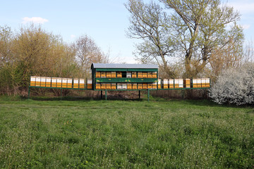 bee hive on meadow spring season