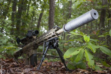 Silenced AR-15 hiding in the brush and trees in a sniper position