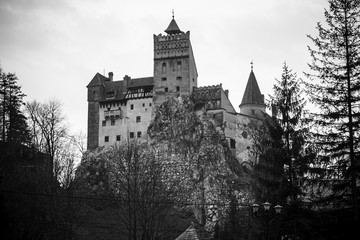 Gothic castle dracula