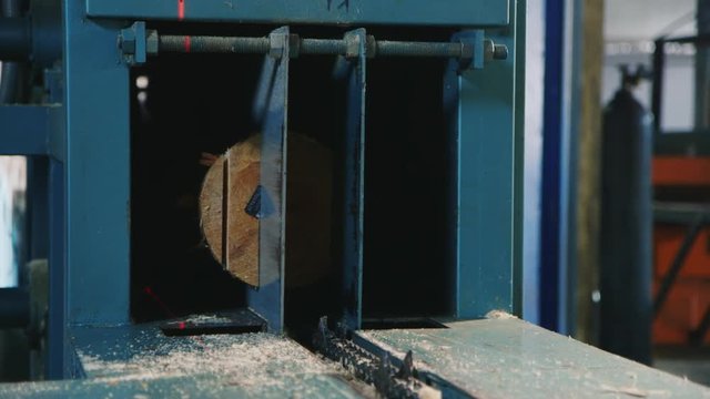 wood sawing machine cuts construction timber