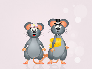 pair of mice in love
