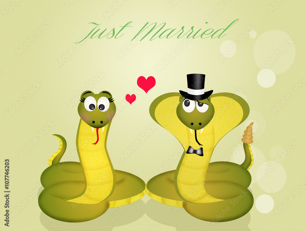 Poster wedding of snakes