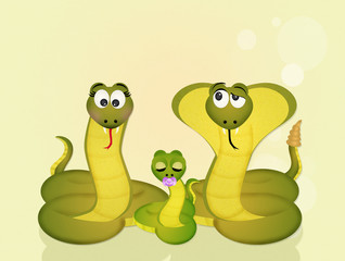 Fototapeta premium family of snakes