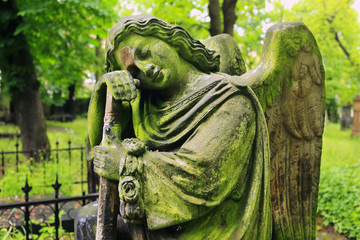 Obraz premium Historic Angel from the old Prague Cemetery, Czech Republic