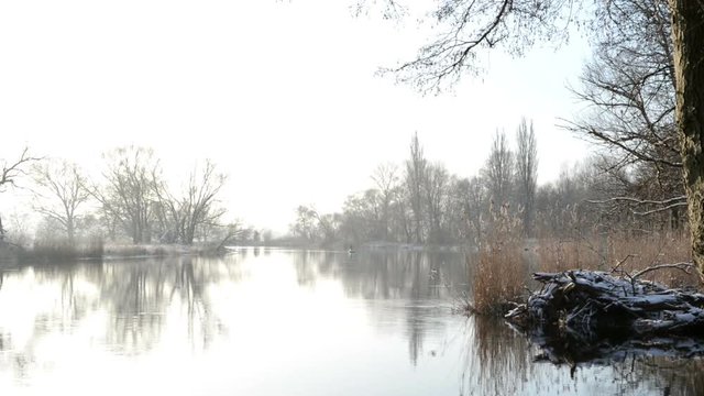 Winter on Havel river. willow tries along the river reflecting in the water. blue sky and sunshine. 