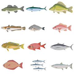 Vector set of difference kind of fish, river and sea food