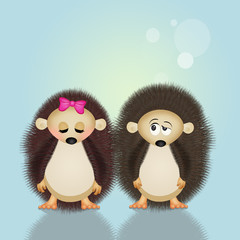 hedgehogs couple