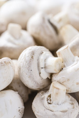 White Mushrooms (background image)