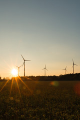 Windkraft Anlagen im Sonnenuntergang