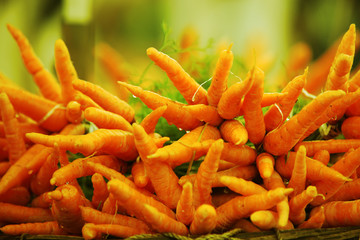 Fresh Carrots