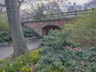 Willowdell Arch and tunnel