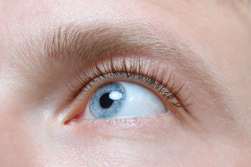 Fototapeta na wymiar Beautiful blue man eye close up, eyelash extension