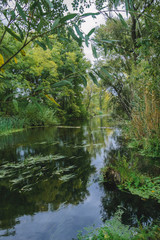 The river among the trees in autumn