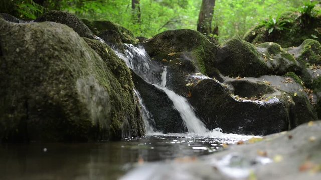 wild stream Brodenbach next to Mosel River. Waterfalls and stones. wild landscape. (Germany, Rhineland-palatinate) 