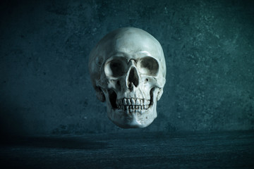 Human skull with dark background hovering in mid air. Concept of death, horror and anatomy. Spooky halloween symbol.