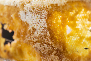 close up of honey in honeycomb