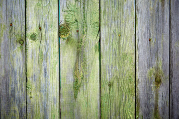 old green painted wood