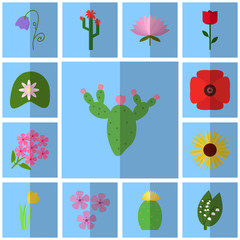 Icons floret. Vector cactus,