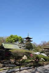 日本庭園と五重塔