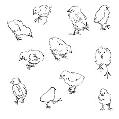 sketch of chiks © cat_arch_angel