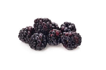 Blackberry isolated on white background