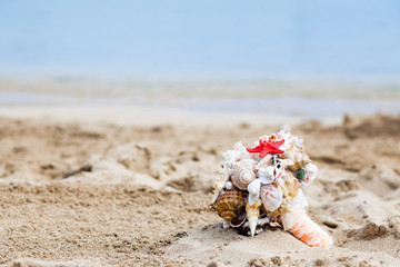 Bouquet of seashells on the sandy seashore